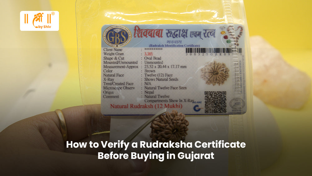 How to Verify a Rudraksha Certificate Before Buying in Gujarat