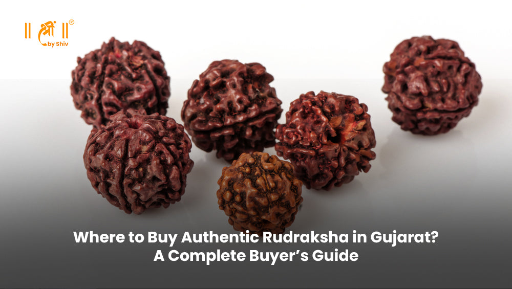 Where to Buy Authentic Rudraksha in Gujarat? A Complete Buyer’s Guide