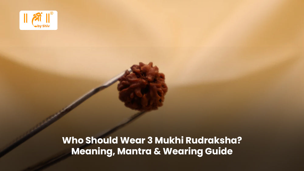 Who Should Wear 3 Mukhi Rudraksha? Meaning, Mantra & Wearing Guide