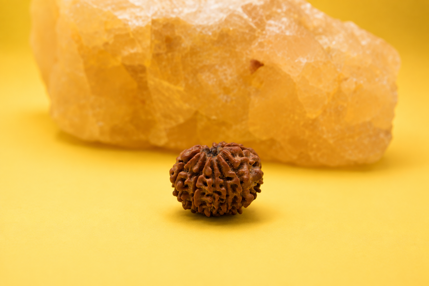 रुद्राक्ष