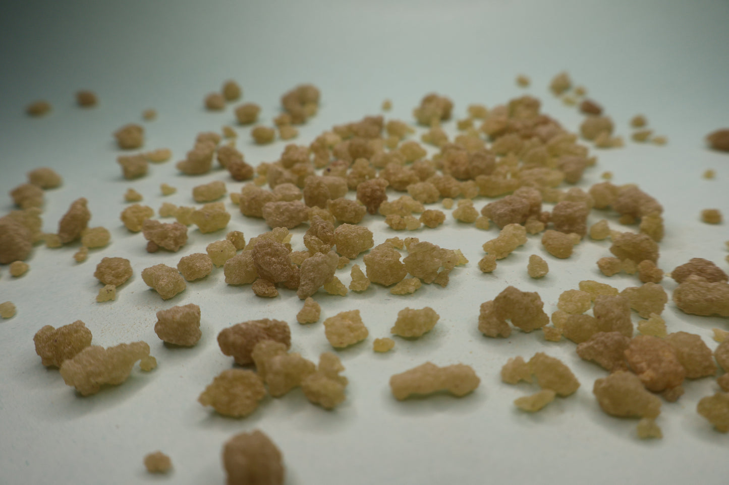 Dry Guggal (Gugguli)