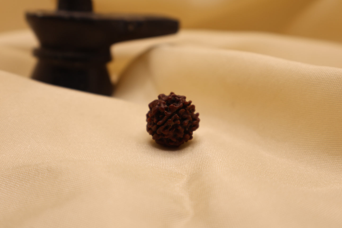 4 मुखी रुद्राक्ष