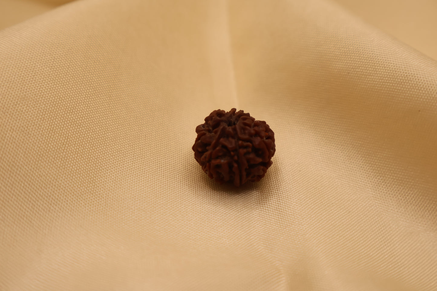 8 मुखी रुद्राक्ष